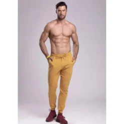 Trec Wear® Pants 044 Jogger Stripe Beige